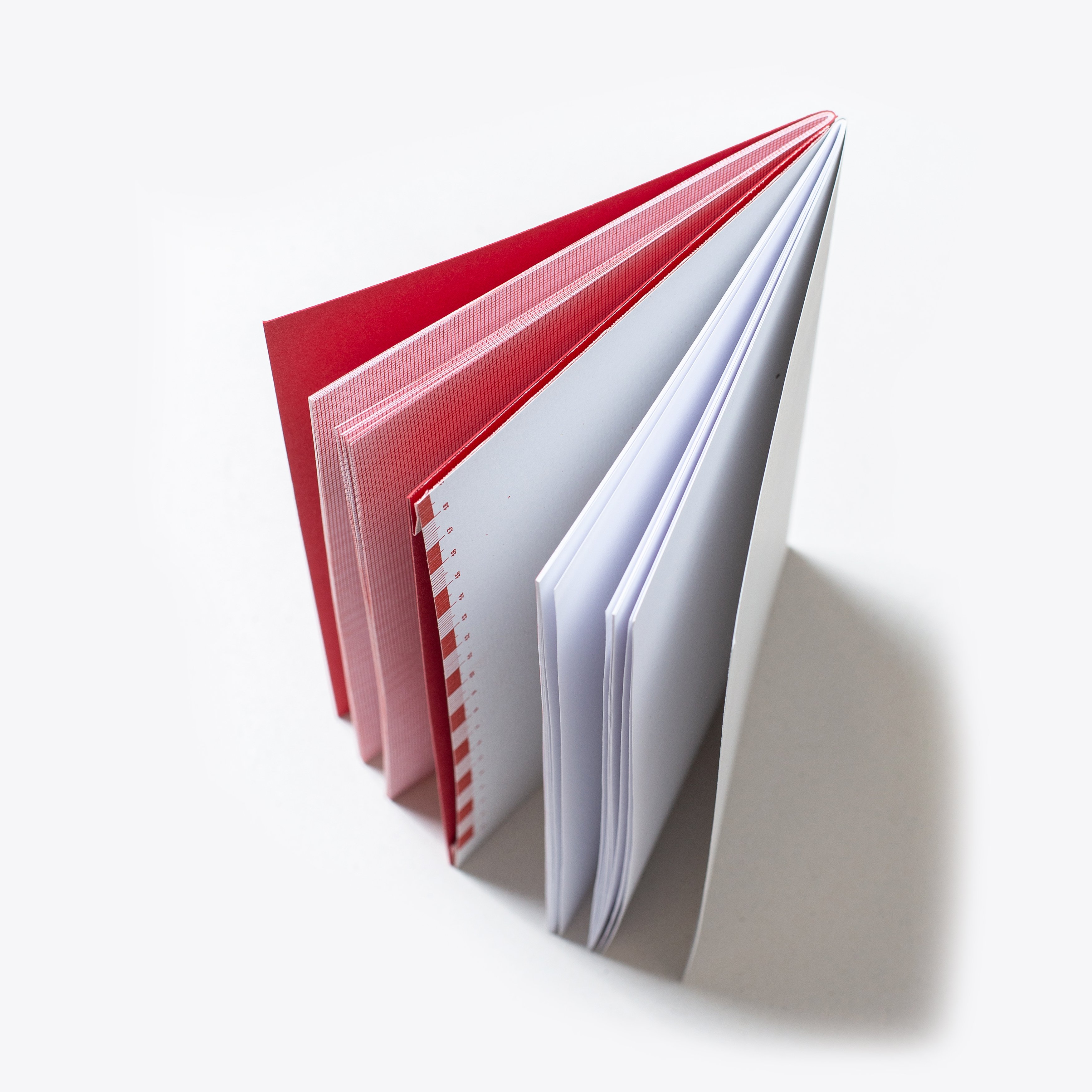 _0004_ses-4