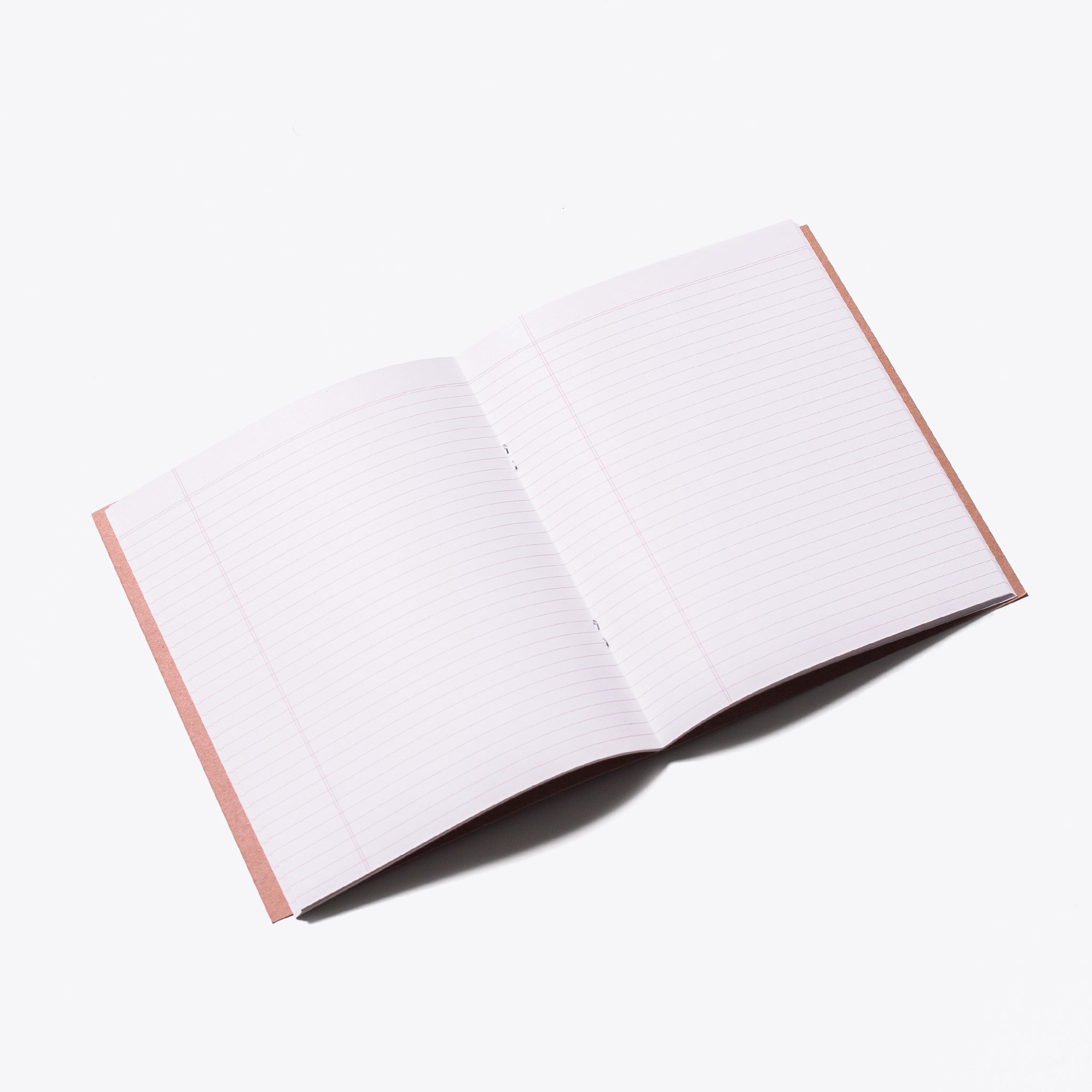 a_0043_sesitC