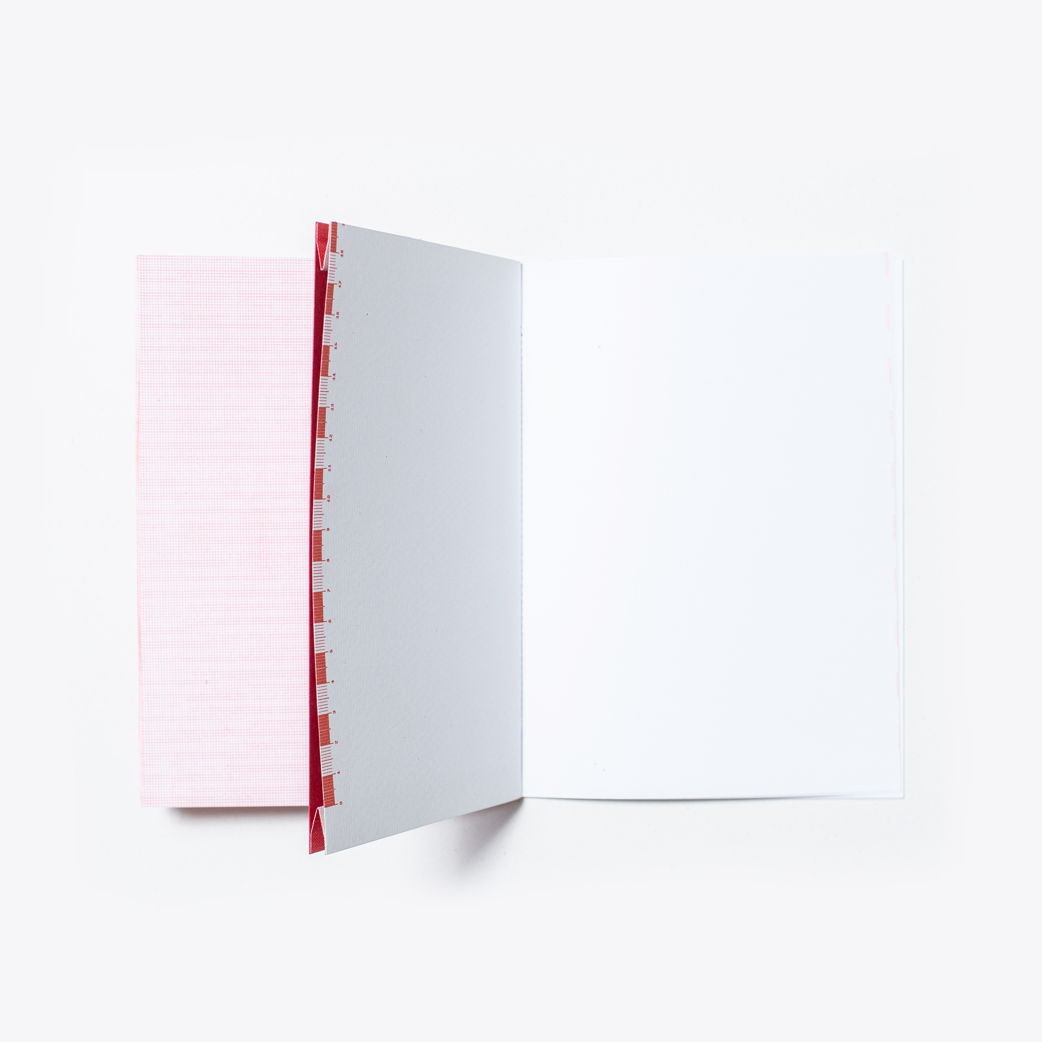 _0006_ses-6
