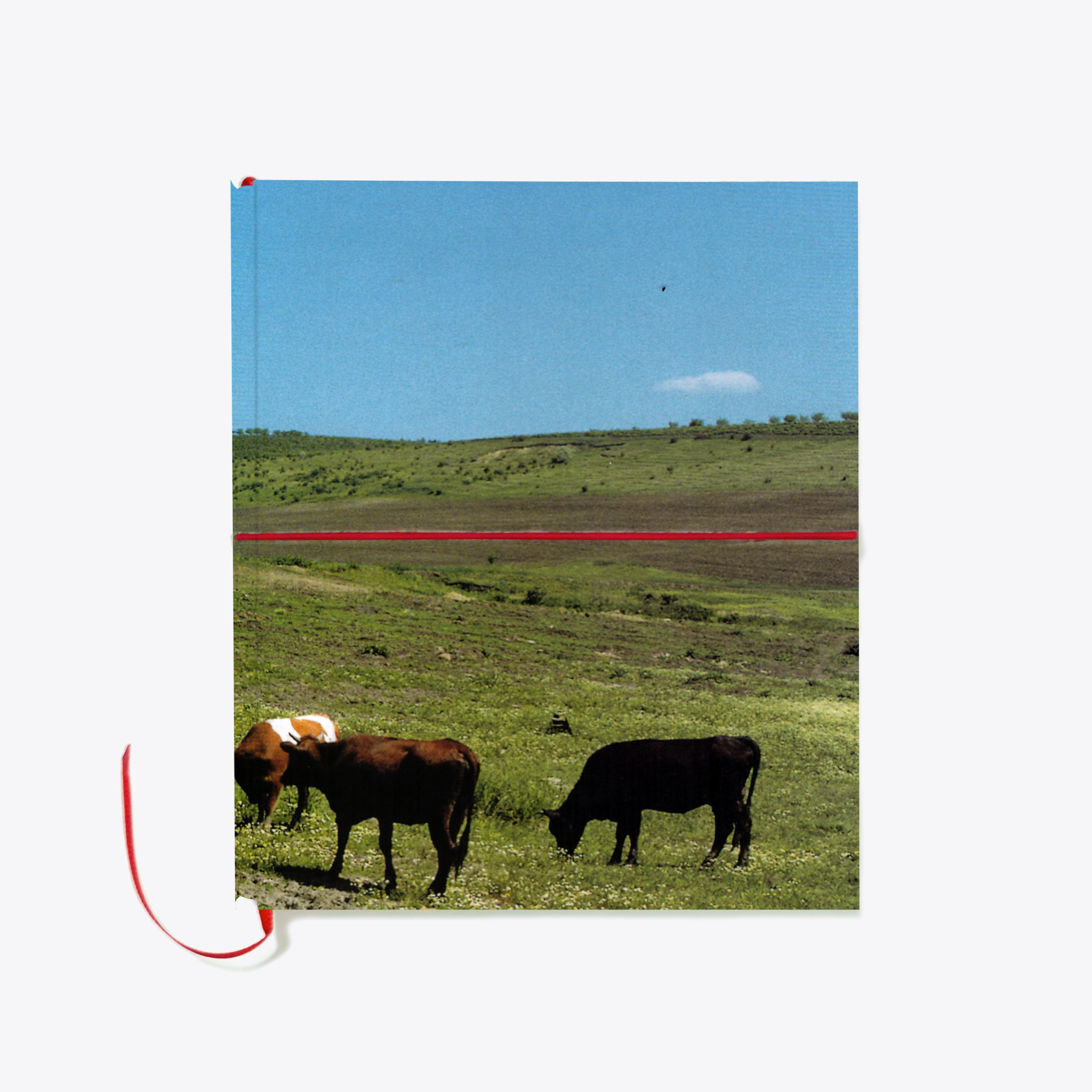 1A(mock-up)predni-obal_bezdatovy-diar_pevne-desky
