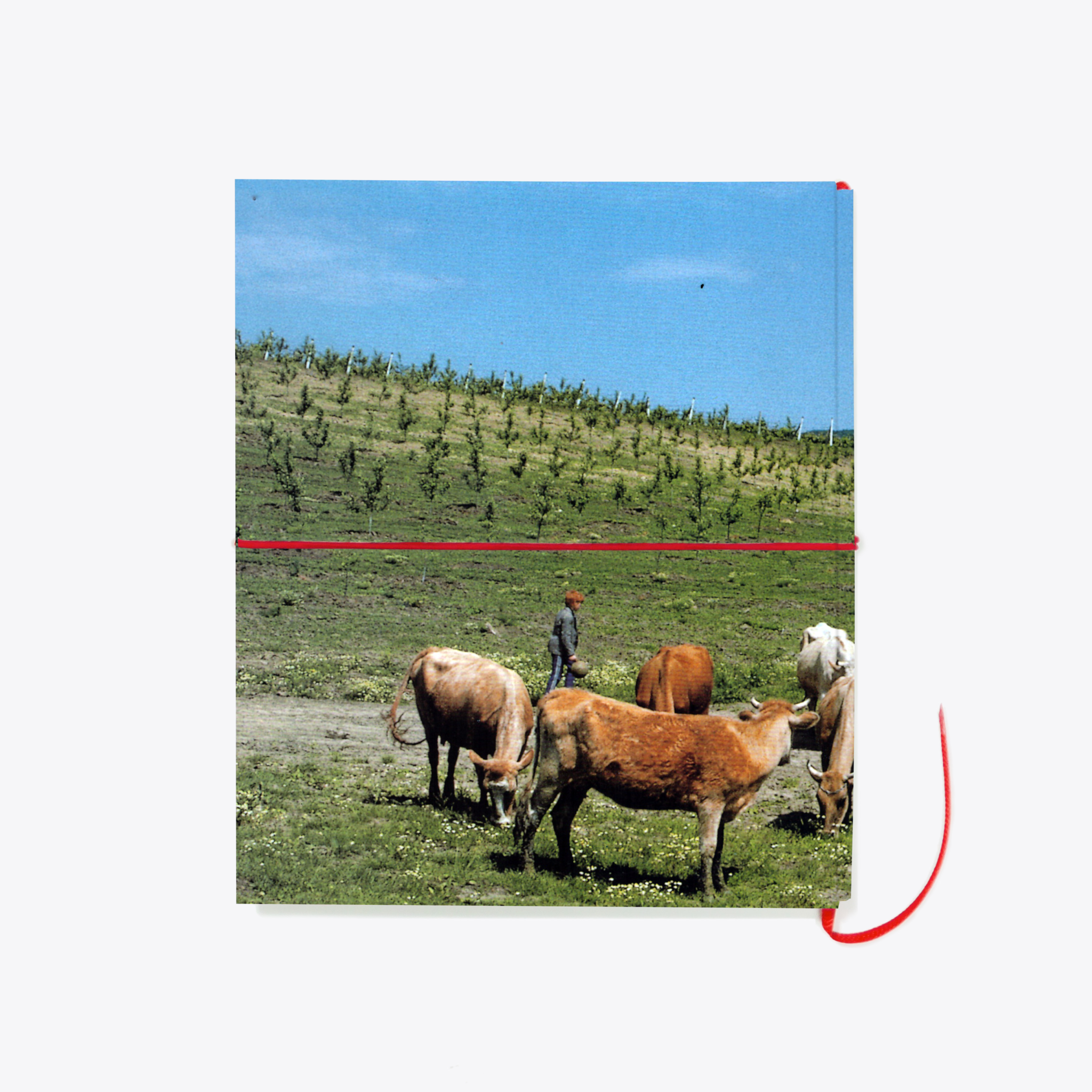 1B(mock-up)zadni-obal_bezdatovy-diar_pevne-desky